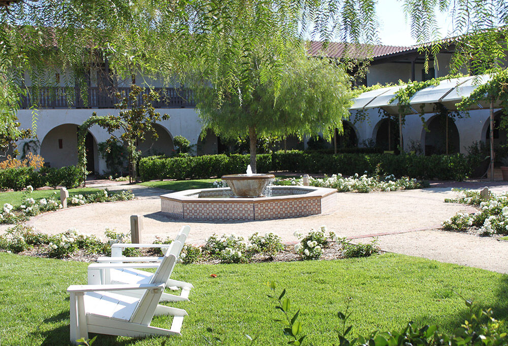 Ponte Vineyard Locanda